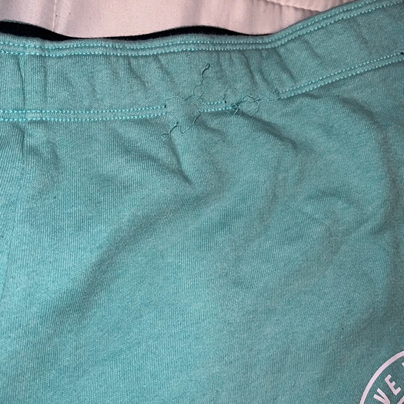 🩵Victoria’s Secret PINK shorts. Size L🩵 - Picture 2 of 9